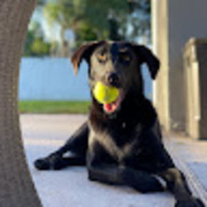 Meet your Posher, Karen